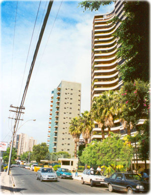 Cambui