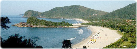 Camburi