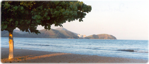 Indaia