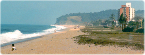 Massaguaçu